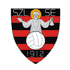 home team