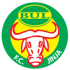 home team