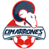 home team