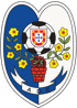 home team