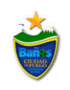home team