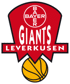 home team