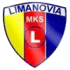 home team