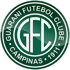 home team