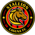 home team