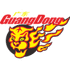 广东华南虎