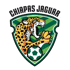 home team